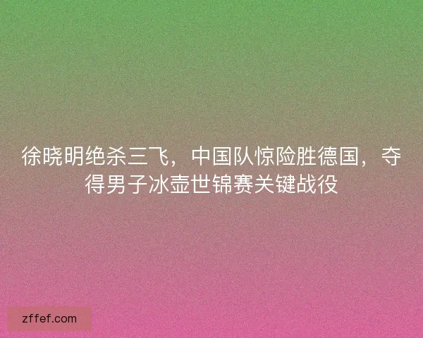 徐晓明绝杀三飞，中国队惊险胜德国，夺得男子冰壶世锦赛关键战役
